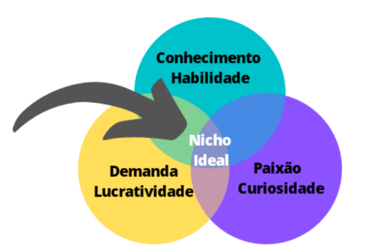 Você Sabe o que é Nicho? Qual Escolher?